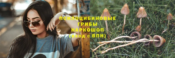 дмт Весьегонск