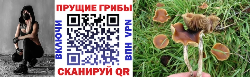 Псилоцибиновые грибы Magic Shrooms  Балабаново 