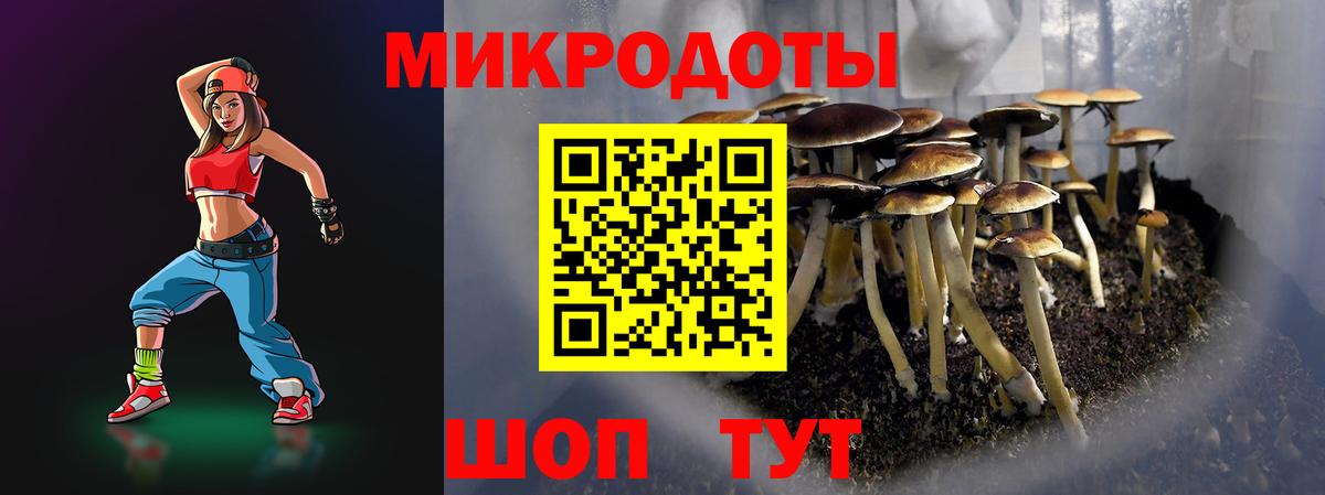 Псилоцибиновые грибы Cubensis Балабаново
